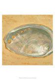Shoreline Shells III Art Print