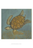 Sea Turtle II