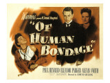 Of Human Bondage, Eleanor Parker, Paul Henreid, Alexis Smith, 1946