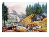 The Gold Rush, Gold Mining in California, 1849, 1871