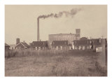 Buy Row of Disreputable Houses at the Edge of the Mill Settlement, Alabama, 1910 at AllPosters.com