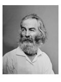 Walt Whitman American Poet, Author, and Journalist in Portrait from Mathew Brady Studio, 1863