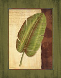 Buy Palm Tropical II at AllPosters.com