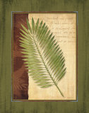 Buy Palm Tropical III at AllPosters.com