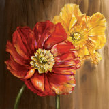 Buy Poppies at AllPosters.com