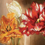 Buy Tulips at AllPosters.com