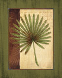 Buy Palm Tropical I at AllPosters.com