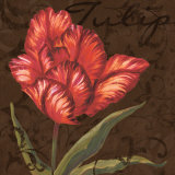 Buy Tulipa I at AllPosters.com