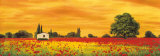 Field of Poppies