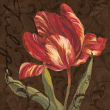 Buy Tulipa II at AllPosters.com