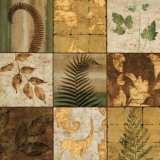 Buy Nature's Touch II at AllPosters.com