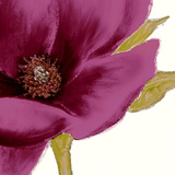 Grandiflora Blush I