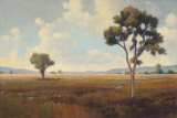 Buy Lost River II at AllPosters.com