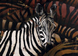 Zebras