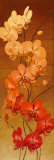 Golden Orchids II