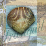 Buy Tranquil Shell at AllPosters.com