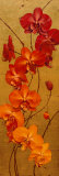 Golden Orchids I