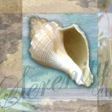 Buy Serenity Shell at AllPosters.com