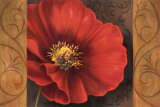 Pavots Rouges I