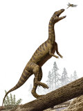 A Triassic reptile, Effigia okeeffeae, resembling a dinosaur Photographic Print