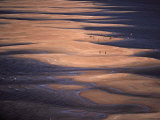 Buy People playing along a sandbank in the Caroni River at AllPosters.com