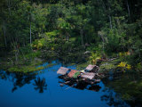 Buy Warao Indians in thatched huts on stilts alongside the rainforest at AllPosters.com