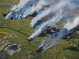 Buy Controlled burning of marshland northeast of Lebu at AllPosters.com