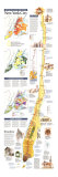 New York City Map 1990