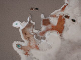 Buy An abstract pattern in the vast Atacama salt basin at AllPosters.com
