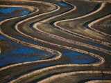 Buy A swirling pattern in a rice plantation east of the Nicoya Peninsula at AllPosters.com