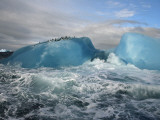 Buy Chinstrap penguins rest atop a blue iceberg near Candlemas Island at AllPosters.com