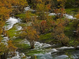 Buy Shuzheng Falls Spilling Past Autumn Colored Bushes at AllPosters.com