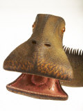 A model of a Nigersaurus dinosaur
