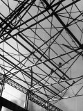 Workers on Roof Girders During the Construction of New Carnegie-Illinois Steel Plant
