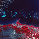 Buy False-Color Aerial Image of Ne Australia and Great Barrier Reef, Taken from Space Shuttle at AllPosters.com