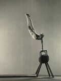 Danish Gymnasts