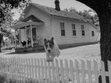 Buy Old School House Now Inhabited by House Painter Charlie Harris at AllPosters.com