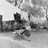 Gypsies Living in Slums under the Trees in New Forest, England