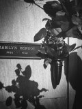 Half Dozen Red French Roses Ordered for Marilyn Monroe's Tomb Triweekly by Joe Dimaggio