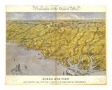 Buy North and South Carolina and Part of Georgia, c.1861 at AllPosters.com