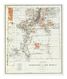Buy Territory of New Mexico, c.1879 at AllPosters.com