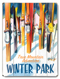Buy True Mountain Adventure at AllPosters.com