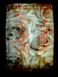 White Rose Lament