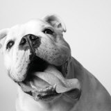 Luca