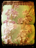 Book of Flowers