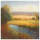 Buy Serenity Marsh I at AllPosters.com