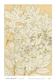 Buy Nature's Reward IV at AllPosters.com