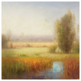 Buy Serenity Marsh II at AllPosters.com