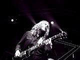 Zutons