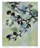 Buy Evening Shadows II at AllPosters.com